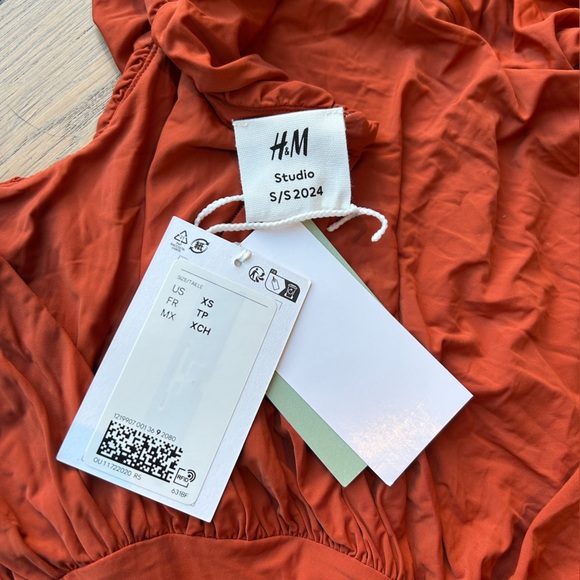 H&M Studio Collection Gathered Bodycon Dress (Burnt orange) - Picture 9 of 15